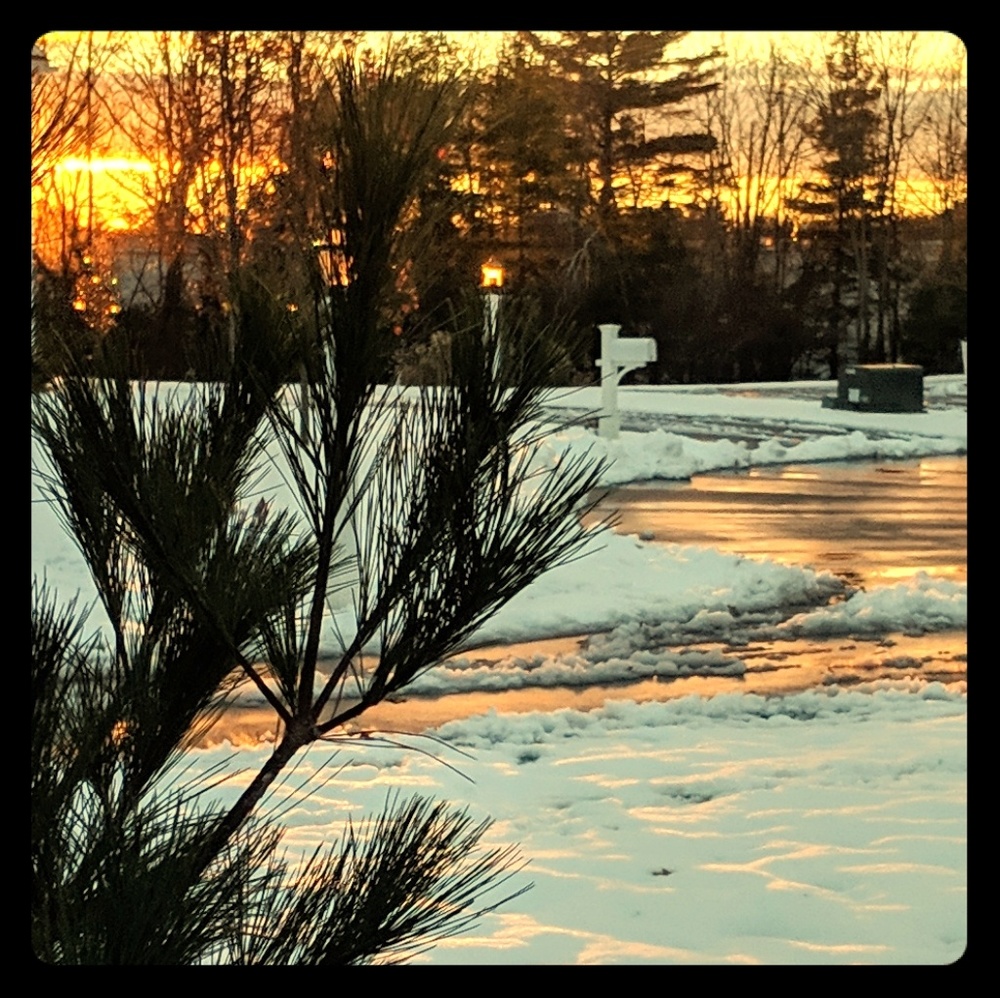 Meet your Posher, Maura